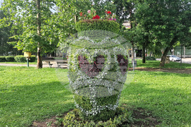 Разград - цветя - зелени площи