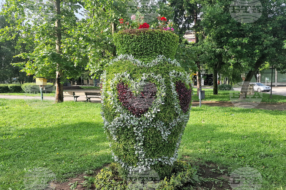 Разград - цветя - зелени площи