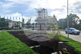 Разград - цветя - зелени площи