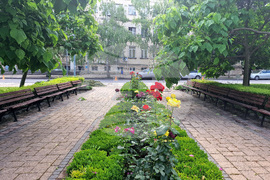 Разград - цветя - зелени площи