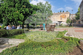 Разград - цветя - зелени площи