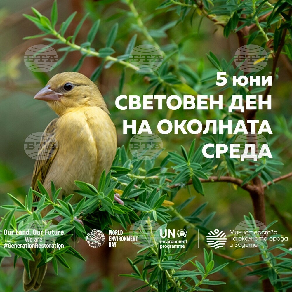 С концерт в София ще бъде отбелязан Световният ден на околната среда утре