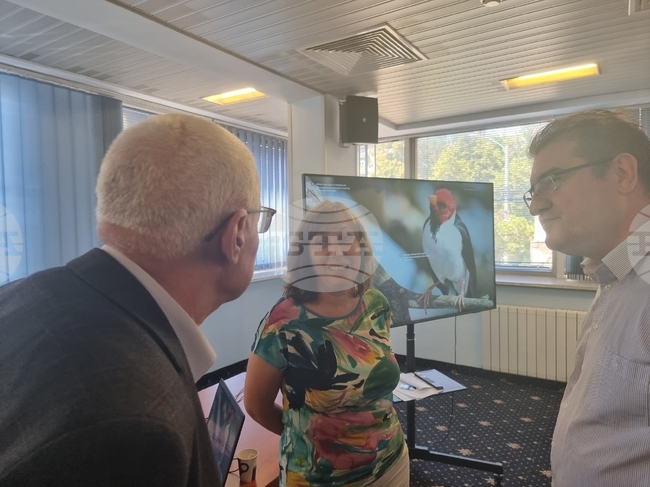 Intelligent Textiles Are Future of Textile Industry, Bulgarian Scientist Says