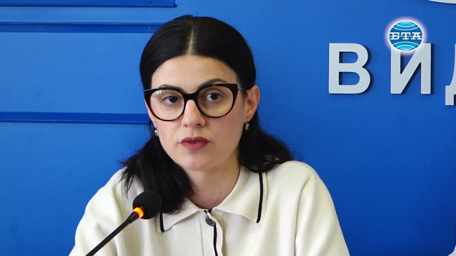 Видинска област е регион с доказан потенциал, заяви областният управител Ани Арутюнян