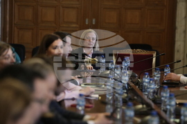 Парламент - Комисия по конституционни и правни въпроси - заседание