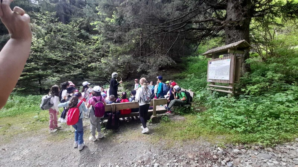 Дирекция „Национален парк Рила“ и партньори отбелязват Световния ден на околната среда