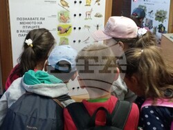 Снимка: Дирекция „Национален парк Рила“