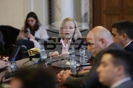 Парламент - Комисия по конституционни и правни въпроси - заседание