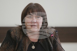 Росица Велкова - брифинг 