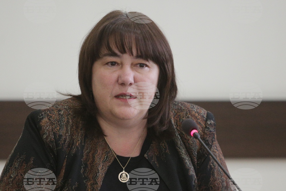Росица Велкова - брифинг 