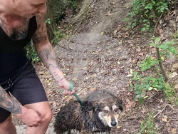 Снимка: Община Варна