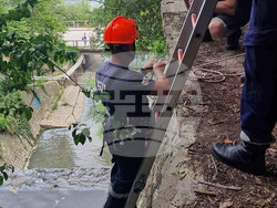 Снимка: Община Варна