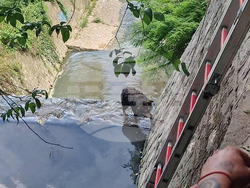 Снимка: Община Варна