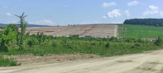 Тома Белев: Над 1000 декара гори в Ихтиманско са изсечени за фотоволтаични централи