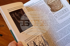 Варна - проф. Николай Овчаров - пресконференция