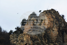 Кресна - пролом - белоглави лешояди