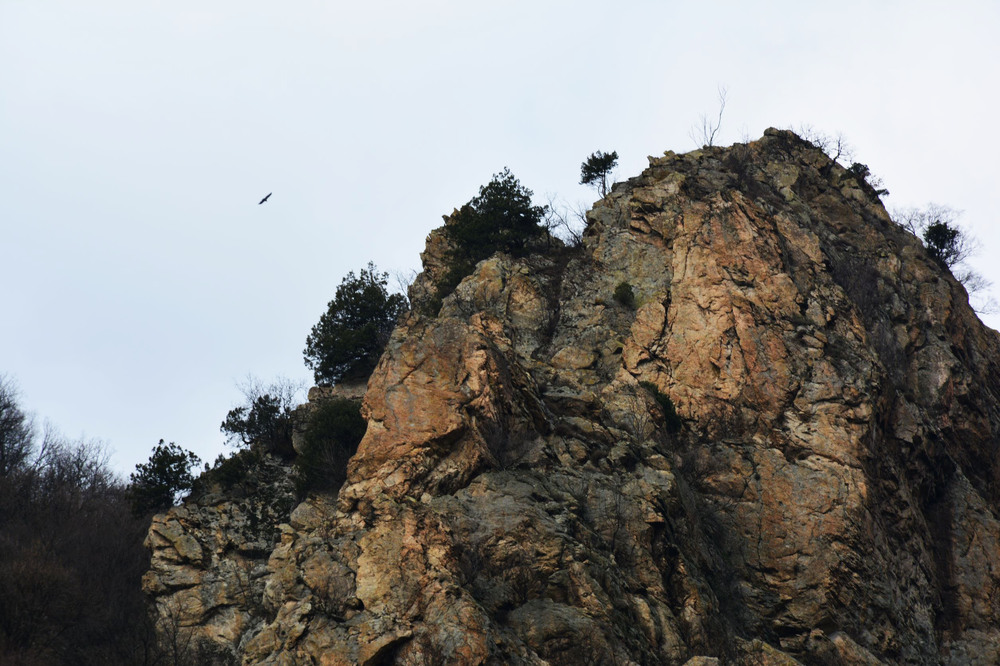 Кресна - пролом - белоглави лешояди