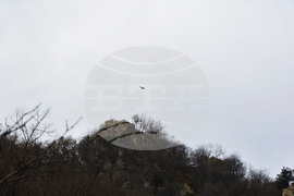 Кресна - пролом - белоглави лешояди