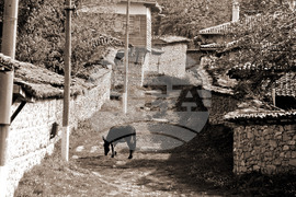 Село Арбанаси