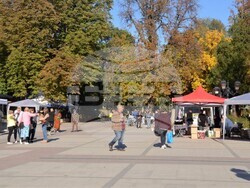 Есенен базар във Видин за празника на града