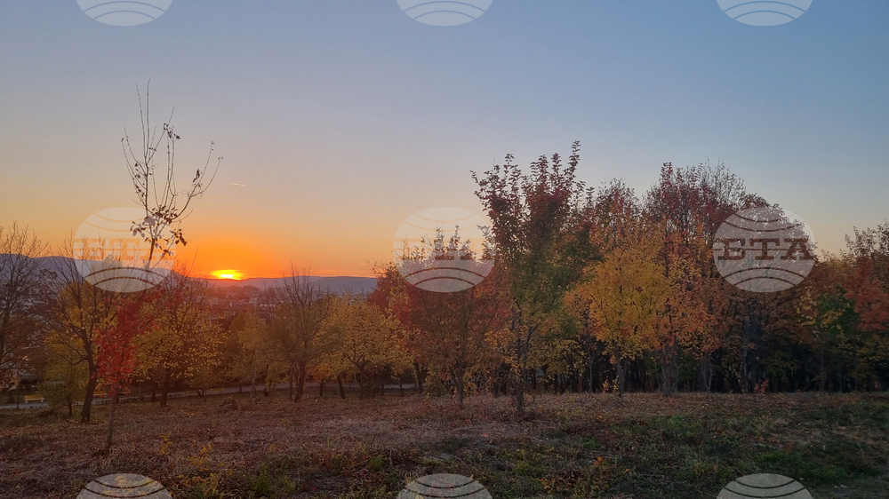 The Weather on November 7