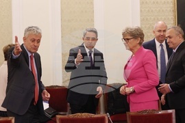 Народно събрание - контактна група - Български възход