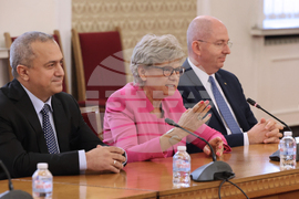 Народно събрание - контактна група - Български възход