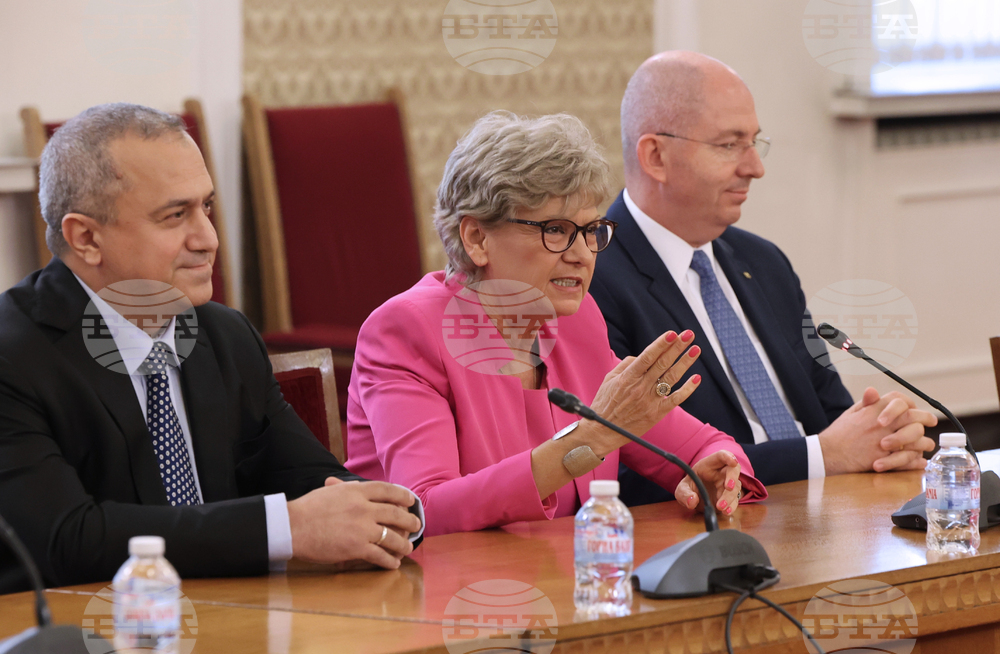 Народно събрание - контактна група - Български възход