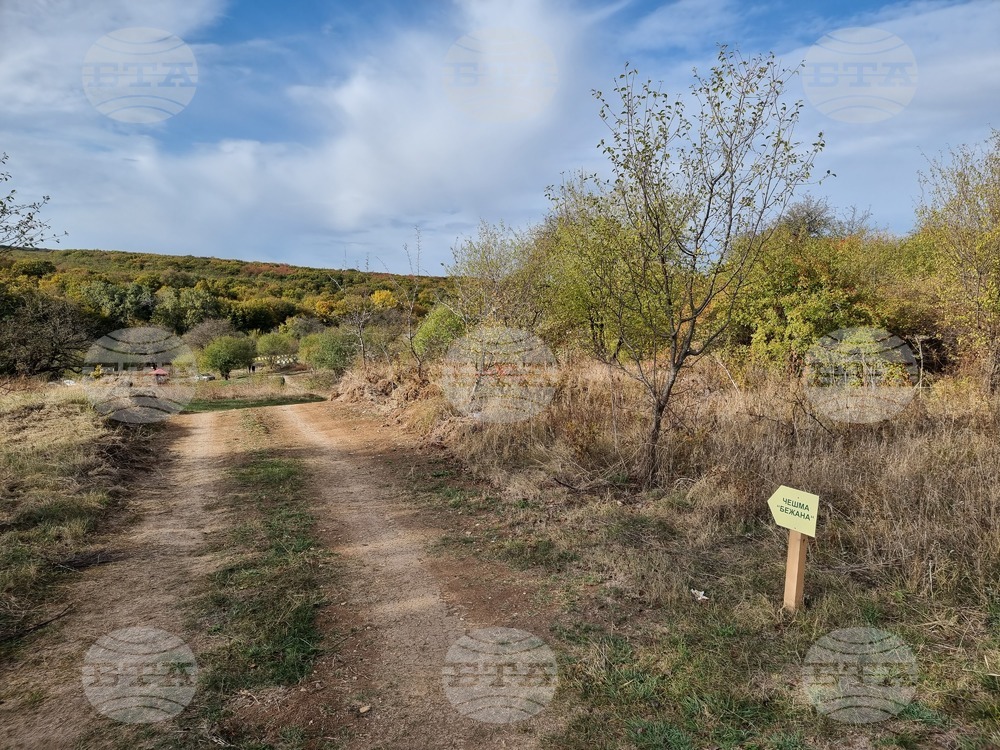 Разград - Село Островче - чешма - възстановена