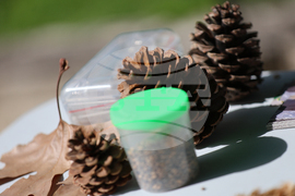 Благоевград - Световен ден на околната среда