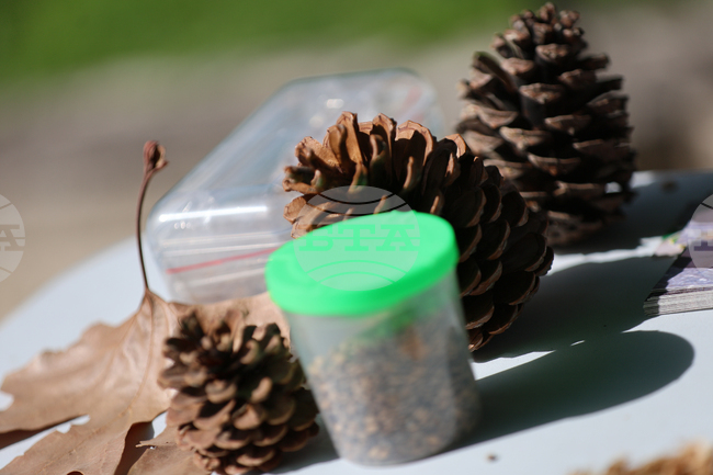  Благоевград - Световен ден на околната среда