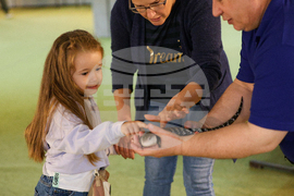 Благоевград - екзотични животни - изложба