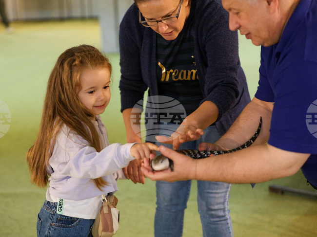 Благоевград - екзотични животни - изложба