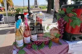 Видин - есенен базар