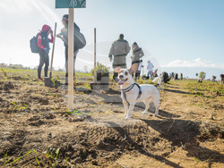 Започна вторият залесителен сезон на Новата гора на София 2 – Негован