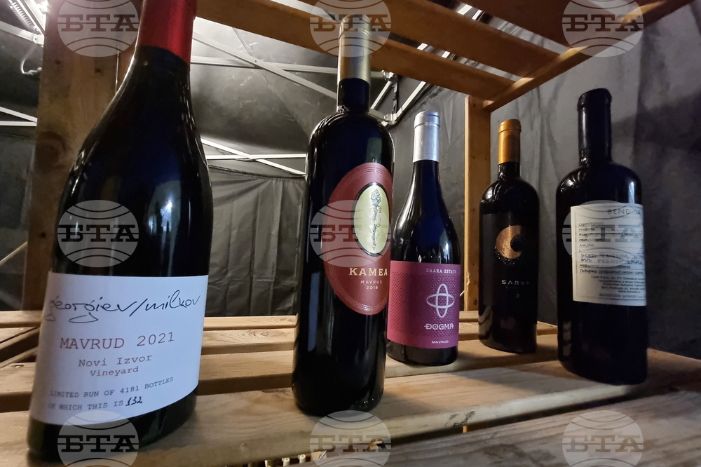 Пловдив - винен фестивал Urban Wine Fest Plovdiv