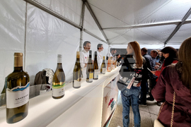 Пловдив - винен фестивал Urban Wine Fest Plovdiv