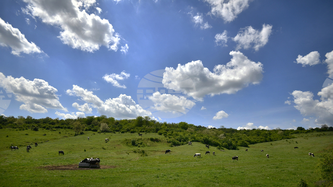 The Weather on July 16