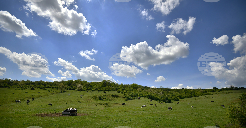 Прогноза за времето