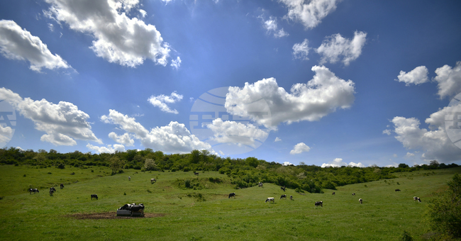 Прогноза за времето