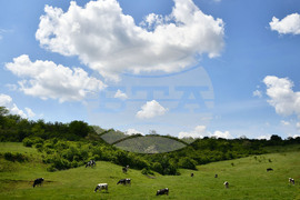 Село Севар - домашни животни