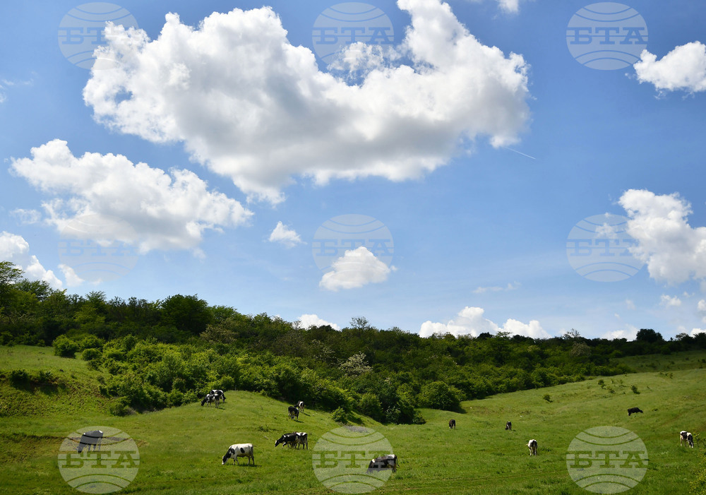 Село Севар - домашни животни