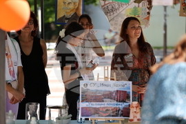 Благоевград - Панорама на училищата - 2024