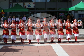 Благоевград - Панорама на училищата - 2024