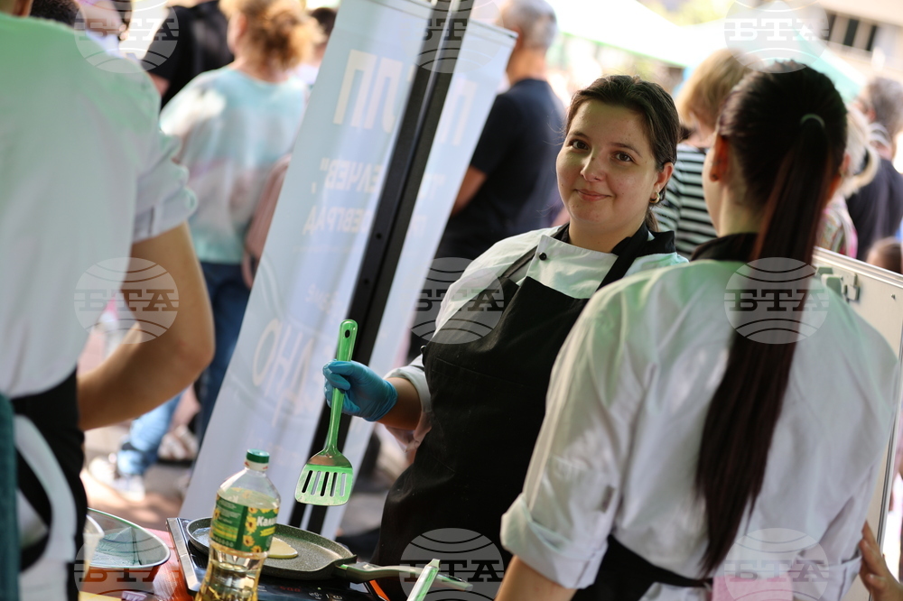 Благоевград - Панорама на училищата - 2024