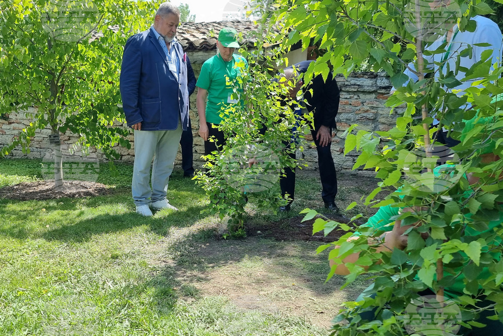 Балчик - Ботаническа градина - Световен ден на околната среда