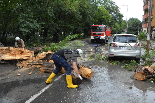 Пътната обстановка в Пазарджишка област е нормална след обилните валежи от вчера и през нощта