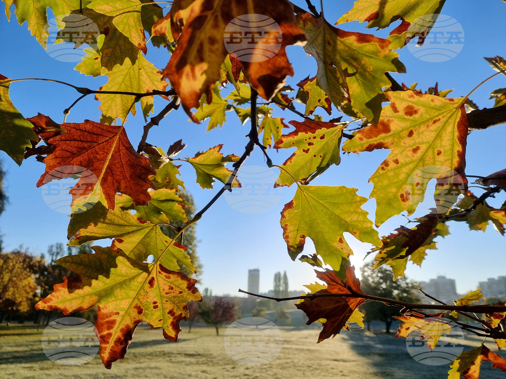 Weather in November: Lows Down to Minus 5C, Highs Up to 25C