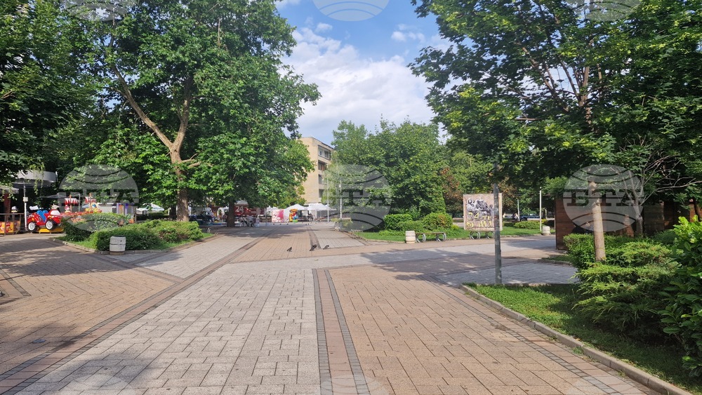 Какви бяха проявите на кандидатите за народни представители в област Разград