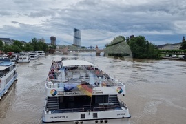 Германия - Франкфурт - изглед - евроизбори - ежедневие